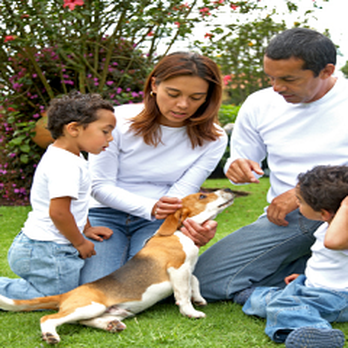 Pesterminating Systems - Pest Control Near Me - Whitestone, New York Pesterminating Systems - Pest Control Near Me - Whitestone, New York