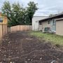 Photo of Wind Thin Tree Service