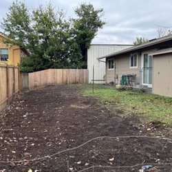 Wind Thin Tree Service - The removal of the English Laurels left a bare spot whereI can now plant grass.