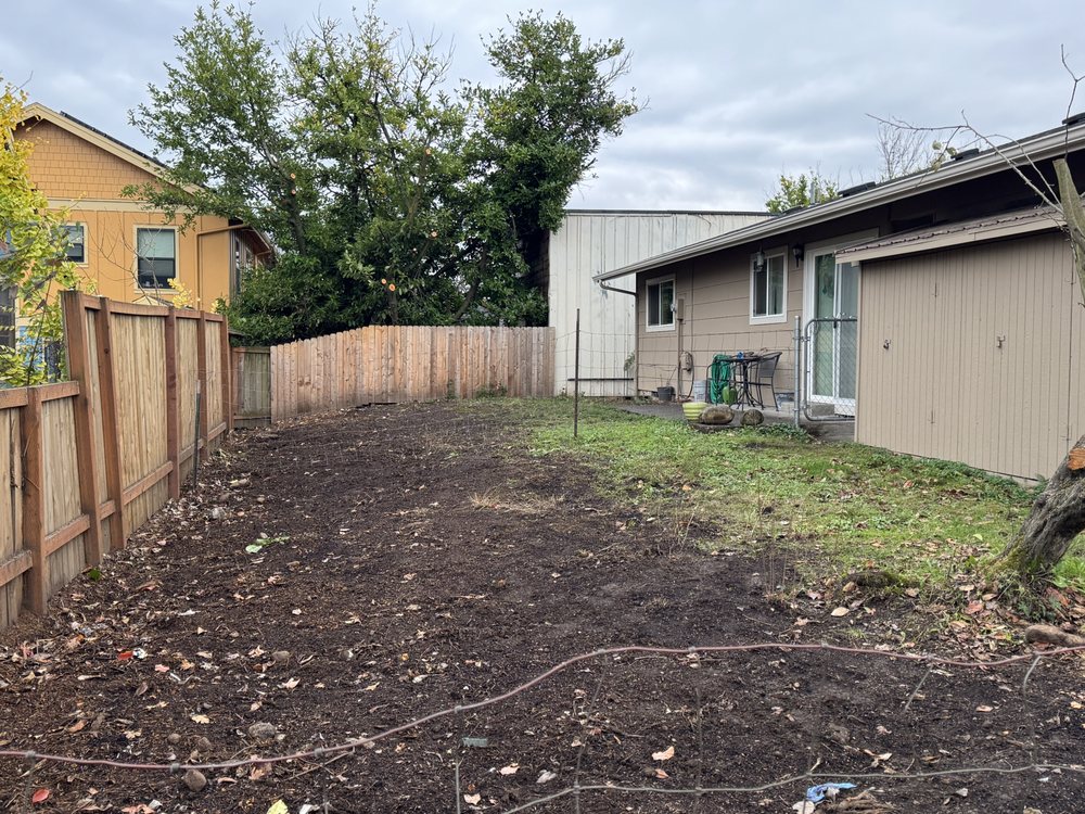 Wind Thin Tree Service - tree service in Portland, OR