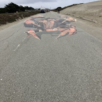 Sunset Dunes - Parks Near Me - San Francisco, California Sunset Dunes - Parks Near Me - San Francisco, California