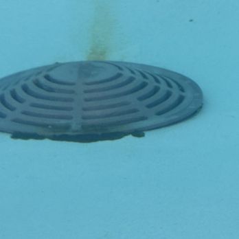 Hotel Solaya - Black algae all over pool - Hotels Near Me - Scottsdale, Arizona