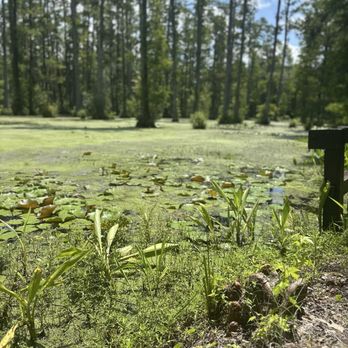 Cypress Gardens - Parks Near Me - Moncks Corner, South Carolina