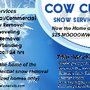 Photo of Cow Cuts