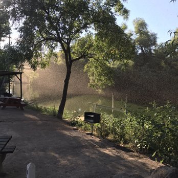 Clear Lake Campground - Millions of rice flies. Morning of 8/27/17. - Boating Near Me - Clearlake, California