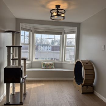 Purr Luxe Cat Resort - Open area for cats to lounge, play, climb, and explore! - Pet Groomers Near Me - Saint Charles, Missouri Purr Luxe Cat Resort - Open area for cats to lounge, play, climb, and explore! - Pet Groomers Near Me - Saint Charles, Missouri