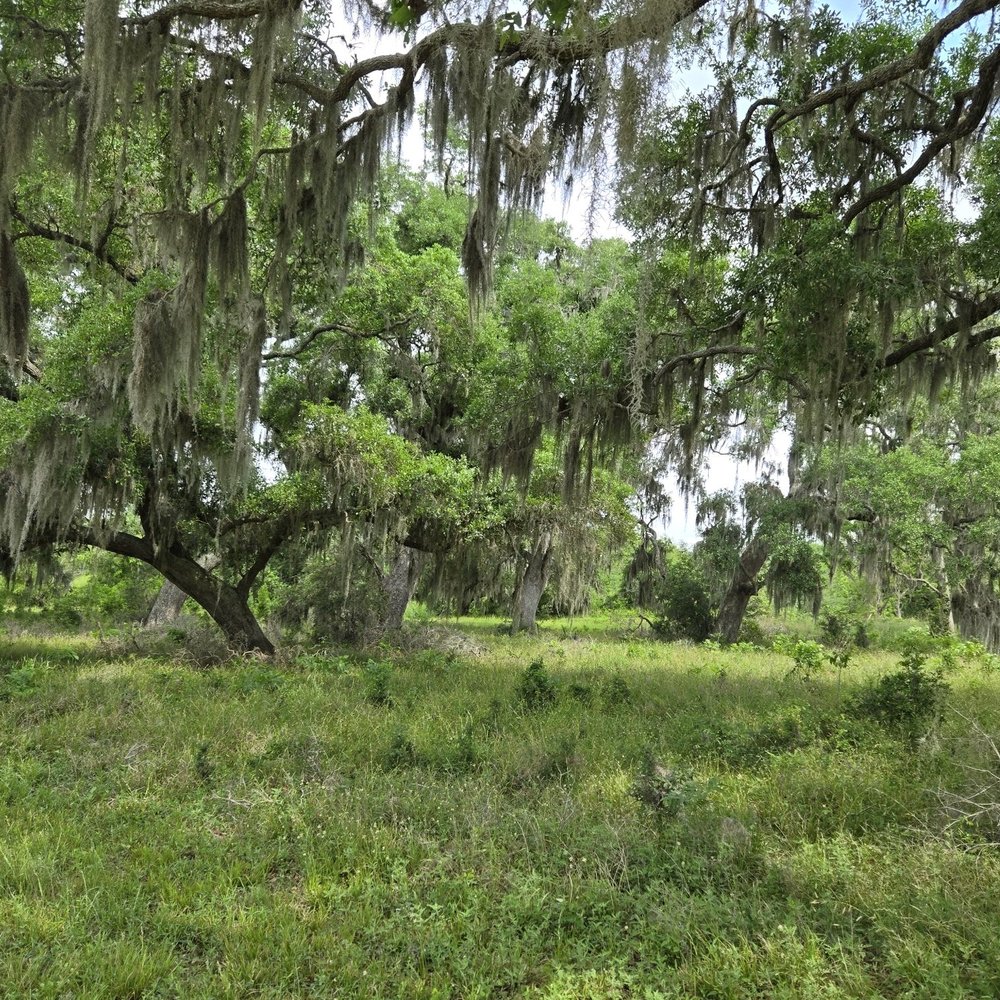 Brazos Bend State Park - Parks Near Me - Needville, Texas
