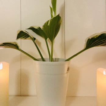 Tea Spa Wellness - Bethesda - Simply and tastefully appointed - Massage Therapy Near Me - Bethesda, Maryland Tea Spa Wellness - Bethesda - Simply and tastefully appointed - Massage Therapy Near Me - Bethesda, Maryland