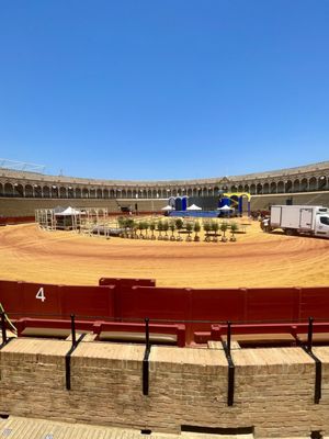 Plaza de Toros de la Real Maestranza de Caballería de Sevilla by null