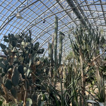Garfield Park Conservatory - Desert room - Parks Near Me - Chicago, Illinois