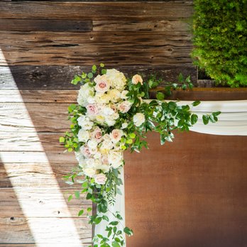 Alex Mo Photography - Event Photography Near Me