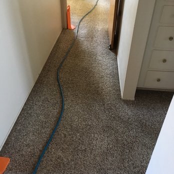 Spotless Carpet Cleaning - Before - Carpet Cleaning Near Me Spotless Carpet Cleaning - Before - Carpet Cleaning Near Me
