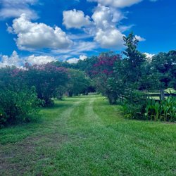 Troutman Farm Stays - Stunning entrance with trees in bloom.