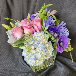 Florabunda Bucks County