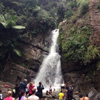 El Yunque Rainforest - Hiking Near Me - Luquillo, Puerto Rico
