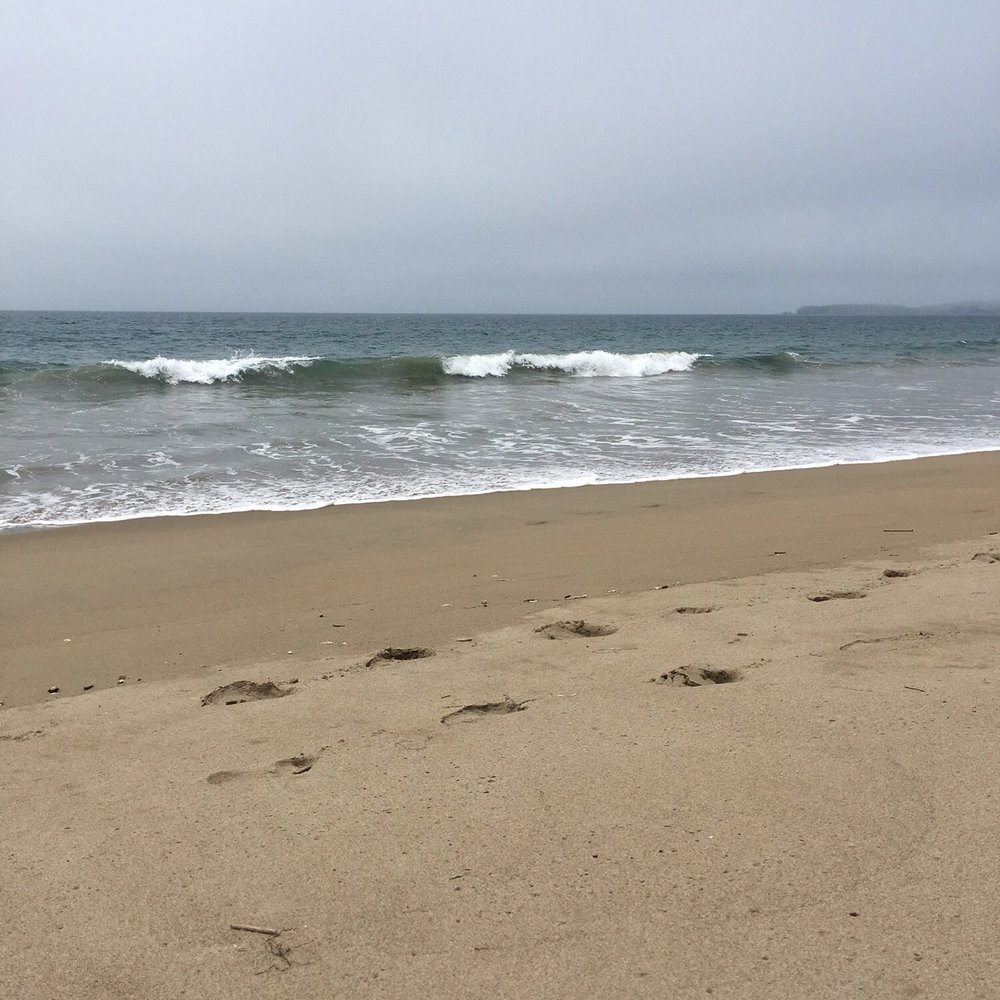 Limantour Beach - Waves. - Beaches Near Me - Point Reyes Station, California Limantour Beach - Waves. - Beaches Near Me - Point Reyes Station, California