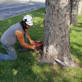Urban Tree & Landscape - Tree Services Near Me - Maple Grove, Minnesota Urban Tree & Landscape - Tree Services Near Me - Maple Grove, Minnesota