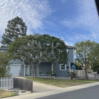 Cut Right Tree Service - Beautiful trees, not ugly stumps! - Tree Services Near Me - Nipomo, California Cut Right Tree Service - Beautiful trees, not ugly stumps! - Tree Services Near Me - Nipomo, California