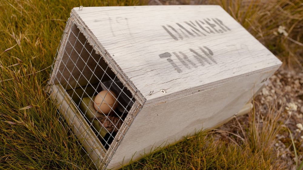 GRIFFIN TERMITE & PEST CONTROL Updated September 2024 914 W Taylor