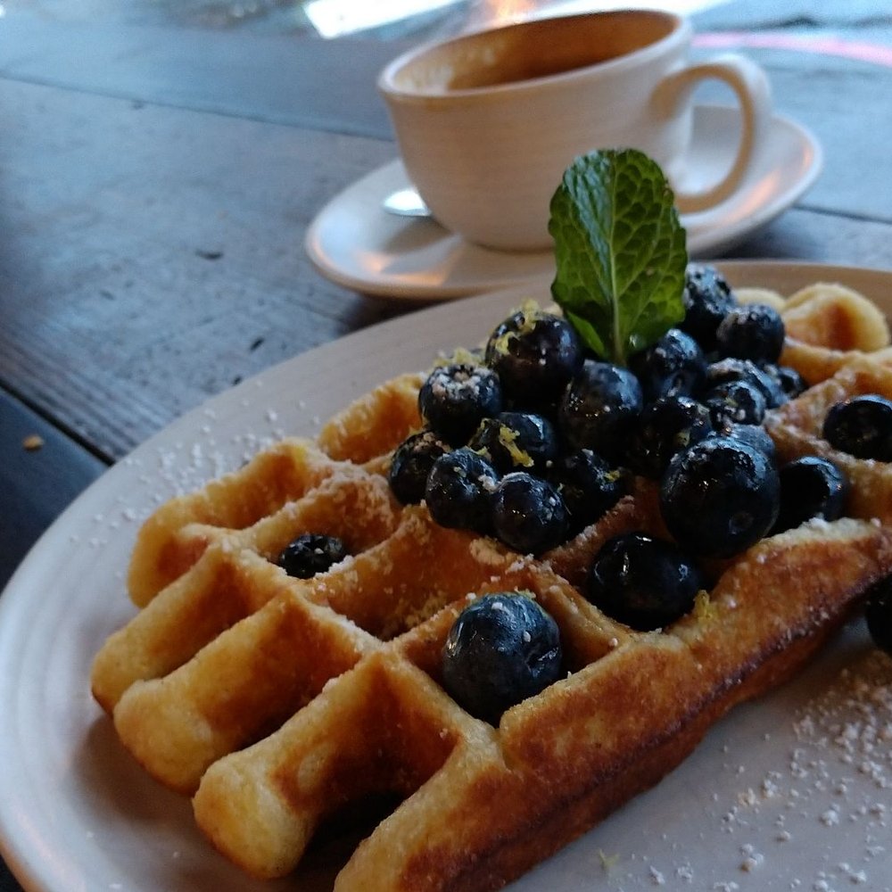 Equator Coffees - Coffee & Tea Near Me - Mill Valley, California Equator Coffees - Coffee & Tea Near Me - Mill Valley, California