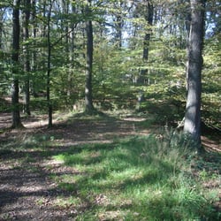 Wallburg Ambrock