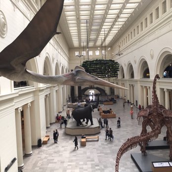 Field Museum - Museums Near Me - Chicago, Illinois Field Museum - Museums Near Me - Chicago, Illinois