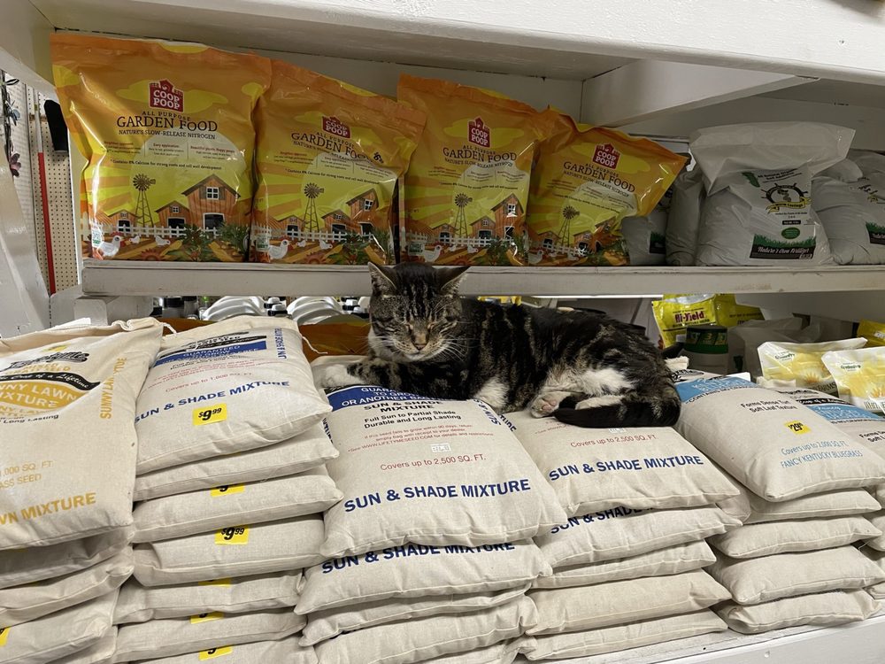 GROWERS OUTLET Updated October 2024 49 Photos & 10 Reviews 7757 S