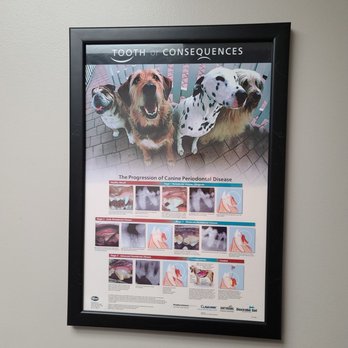 Starch Pet Hospital - Veterinarians Near Me - Des Moines, Iowa Starch Pet Hospital - Veterinarians Near Me - Des Moines, Iowa