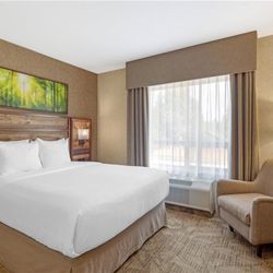 Queen & Double Bed Suite