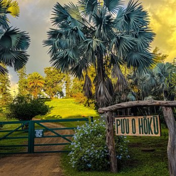 Pu'u O Hoku Ranch - Entrance - Guest Houses Near Me - Kaunakakai, Hawaii Pu'u O Hoku Ranch - Entrance - Guest Houses Near Me - Kaunakakai, Hawaii