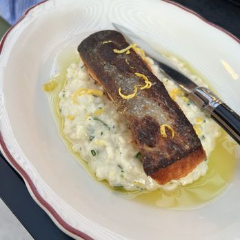 Pelato - Salmon with lemon risotto - Italian Near Me - Nashville, Tennessee Pelato - Salmon with lemon risotto - Italian Near Me - Nashville, Tennessee