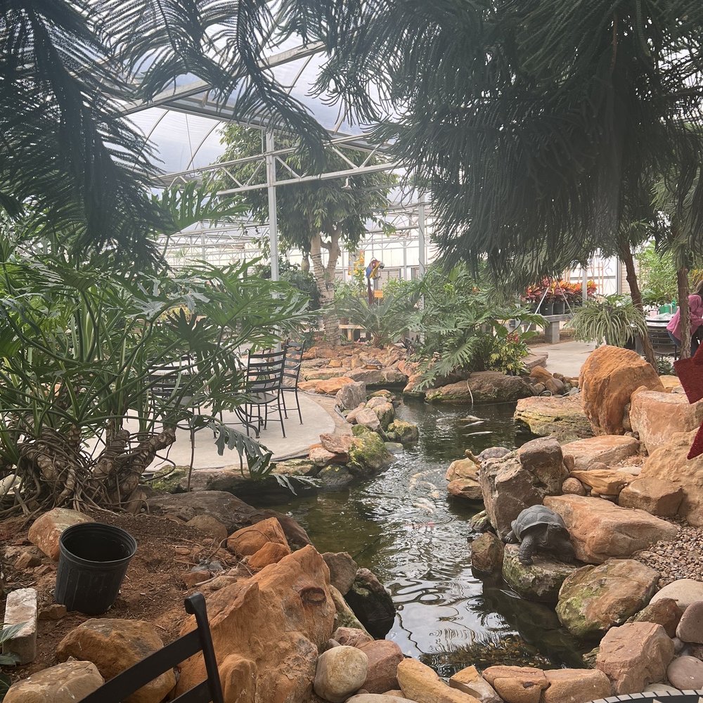 Sit down a spell and watch the koi fish while you eat. Sit down a spell and watch the koi fish while you eat.