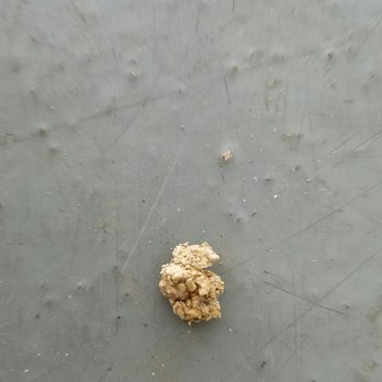 Public Storage - This dried excrement looked weeks old. - Self Storage Near Me - Los Angeles, California