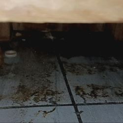 CFL Environmental Solutions