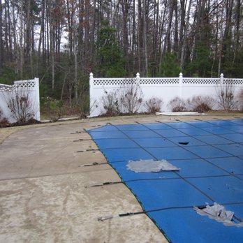 Real Tree-Tree Service - Hurricane Storm Cleanup After - Tree Services Near Me - La Plata, Maryland Real Tree-Tree Service - Hurricane Storm Cleanup After - Tree Services Near Me - La Plata, Maryland