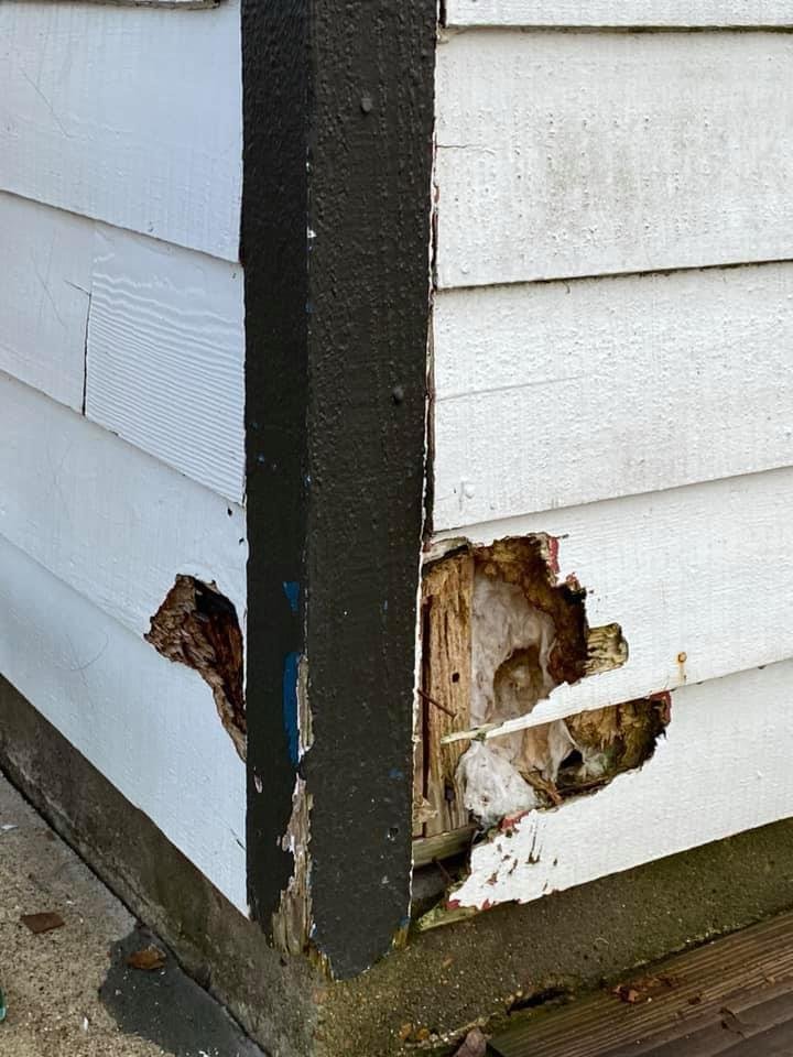 Slide of Moro’s Solutions