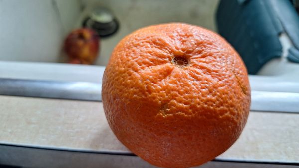 Trader Joe's by null