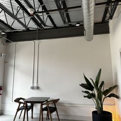 Oak & Saint - Vibes: Immaculate