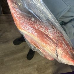 Deep Sea Commercial Fishing - Red snapper
