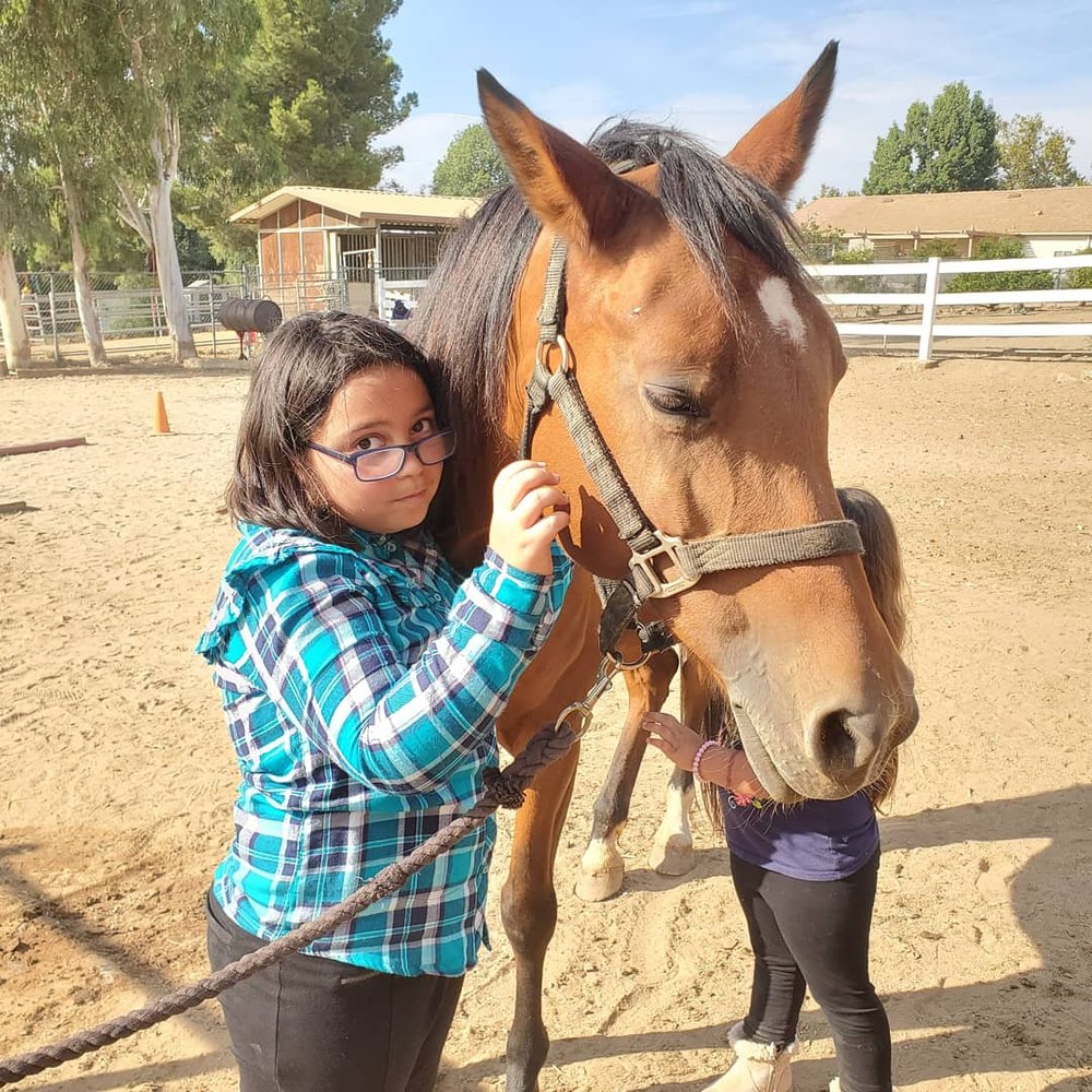 Neophyte Farms - Horseback Riding Near Me - Simi Valley, California