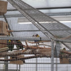 Langeskov Planteskole - One of several aviaries.