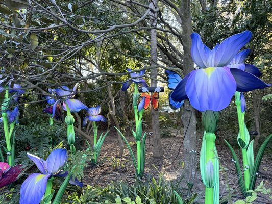 Jacksonville Zoo and Botanical Gardens by null