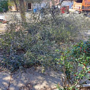 Gene's Tree Service - Tree Services Near Me - Woodbury, Minnesota Gene's Tree Service - Tree Services Near Me - Woodbury, Minnesota