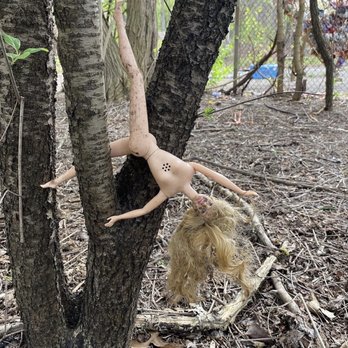 Barbie’s Dream Cult - Public Art Near Me - Pittsburgh, Pennsylvania Barbie’s Dream Cult - Public Art Near Me - Pittsburgh, Pennsylvania