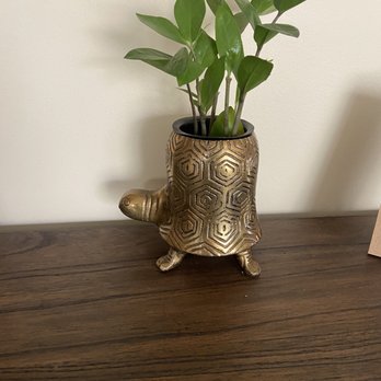 Good Roots - Home Decor Near Me - Glen Ellyn, Illinois