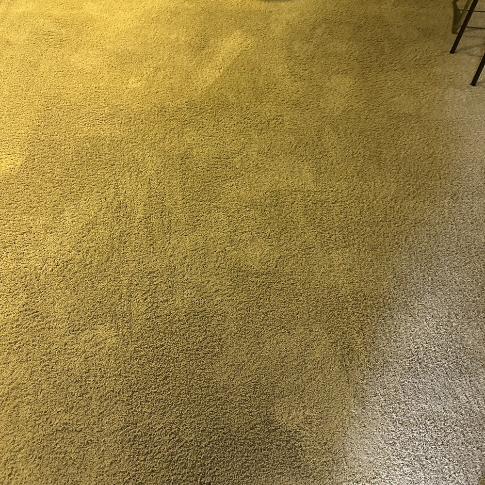 Socal Cleaner - Bedroom carpet after - Home Cleaning Near Me Socal Cleaner - Bedroom carpet after - Home Cleaning Near Me