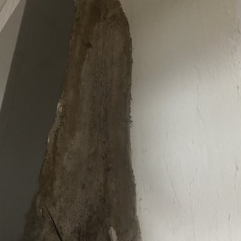 All Star Heating and Cooling - Side of ac connected to drywall. As you can see full of mole. There is no way this could've happened within 2 days or even a month! - Heating & Air Conditioning/HVAC Near Me - Port Richey, Florida All Star Heating and Cooling - Side of ac connected to drywall. As you can see full of mole. There is no way this could've happened within 2 days or even a month! - Heating & Air Conditioning/HVAC Near Me - Port Richey, Florida