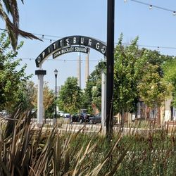 John Buckley Square