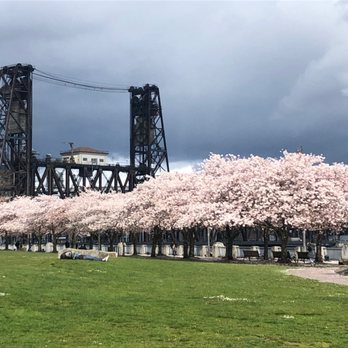 Steel Bridge - Cherry blossoms at Steel Bridge - Landmarks & Historical Buildings Near Me - Portland, Oregon Steel Bridge - Cherry blossoms at Steel Bridge - Landmarks & Historical Buildings Near Me - Portland, Oregon