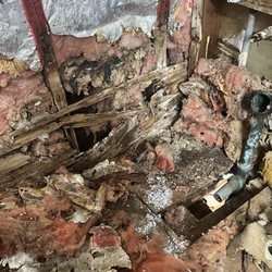 Cranford Plumbing - Damaged sub floor